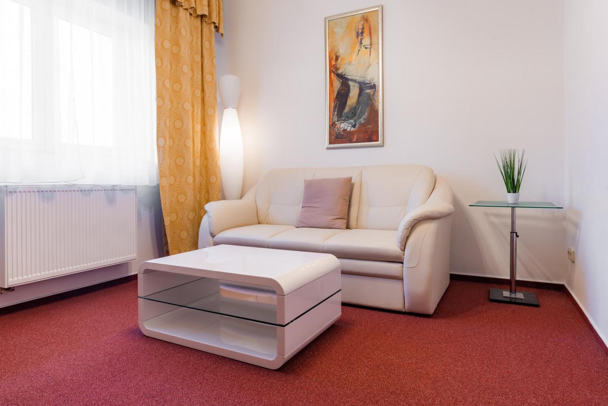 Hotel Schwarz Nové Hamry エクステリア 写真