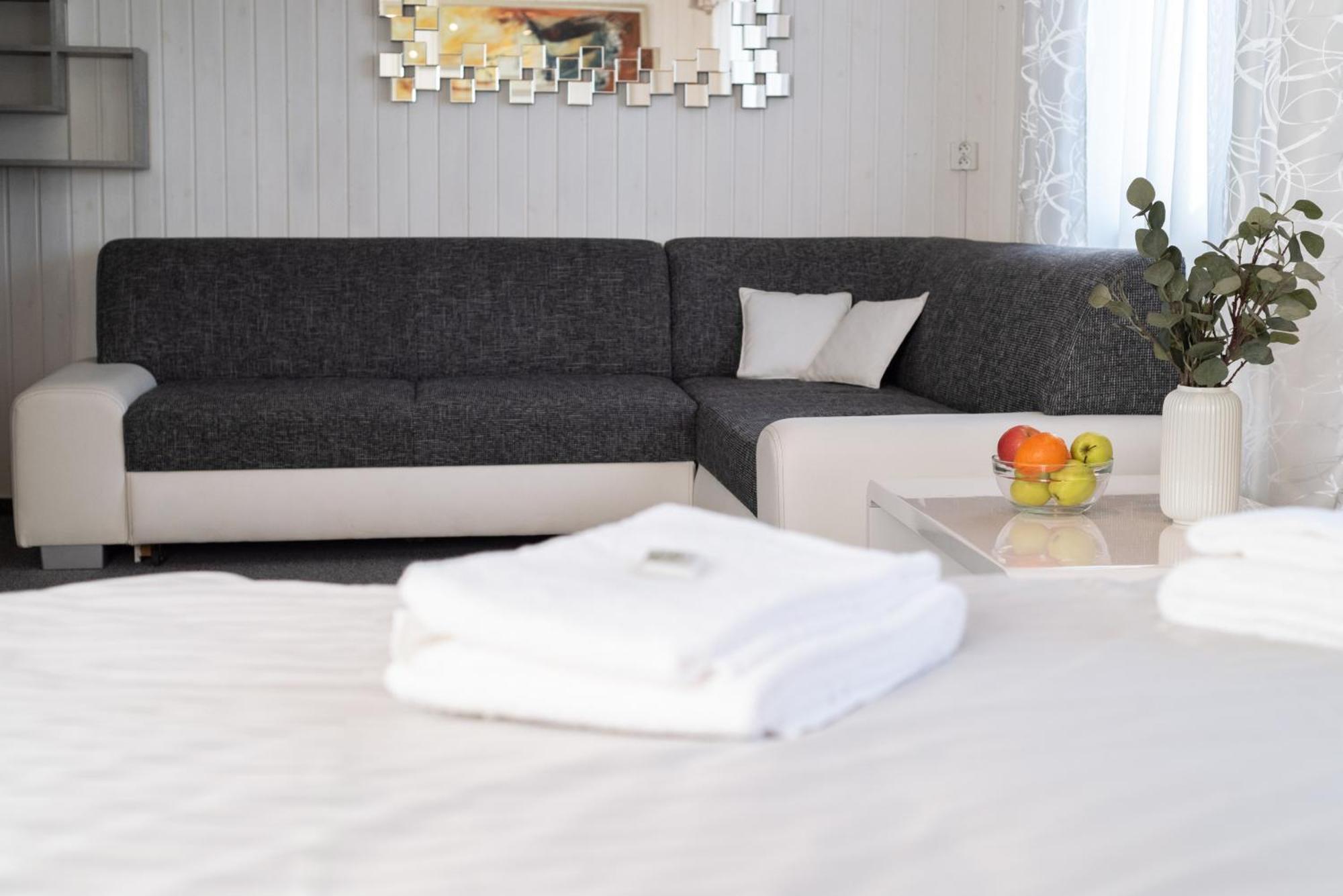 Hotel Schwarz Nové Hamry エクステリア 写真